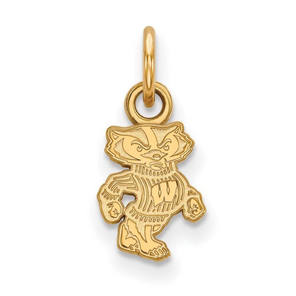 14k Gold Plated Silver U. of Wisconsin XS (Tiny) Badgers Charm Pendant